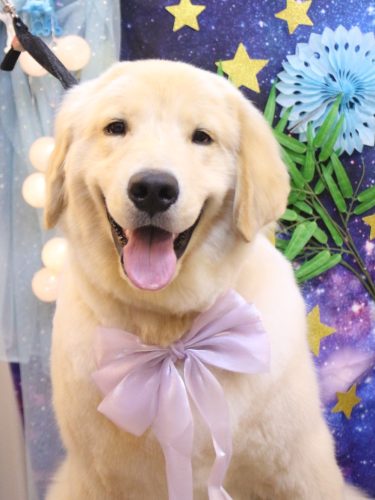 20250709らんまるくん